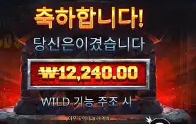 포징와일드 １２천원