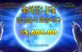 프라그마틱 플레이 울프 골드 4 팩