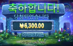 템플 ６천원