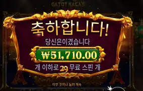 가토 카카즈 퓨리 51천원