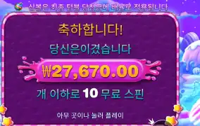 스위트 보난자 １３８배