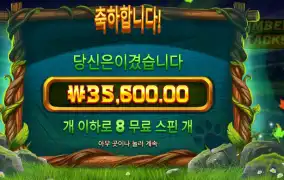 팀버 스택스 35천원