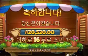 커피 와일드 １６스핀