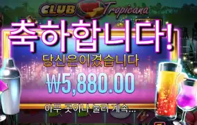 클럽 트로피카나 5천원