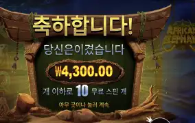 앨리펀트 10스핀