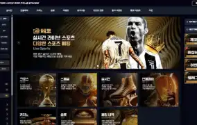 체코 먹튀사이트 체코 먹튀확정 체코 먹튀