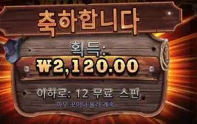 와일드 웨스트 골드 2천원