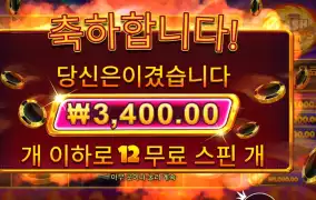 캐시 칩스 １２바퀴