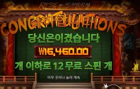 라이즈 오브 사무라이3 12스핀