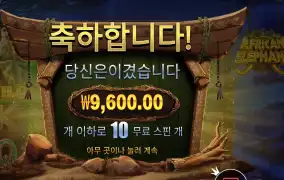 아프리카 코리끼