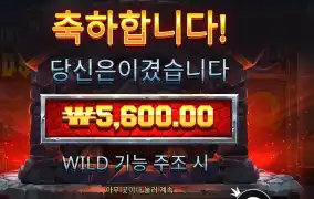 포징 와일드 랜덤 심벌