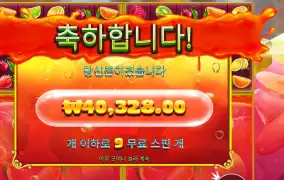 쥬시 후르츠 멀티홀드 ４콩