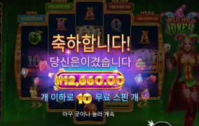 와일드 와일드 조커 슈퍼 스핀