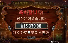 더 와일드 갱 １５천원