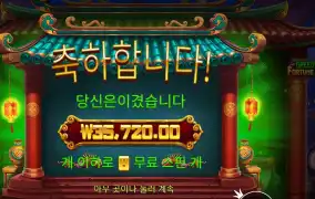 그리디 포춘 피그 179배