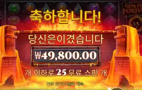 젬 파이어 포춘 124배