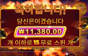 캐시 칩스 11천원