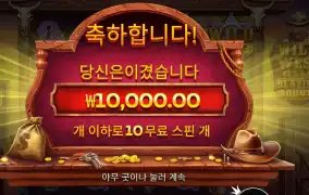 와일드 웨스트 골드 블레이징 바운티 1콩