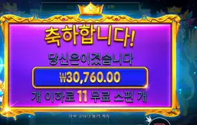 스타라이트 프린세스 파치 ３콩