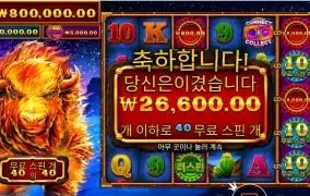 파이어 스탬피드 후기