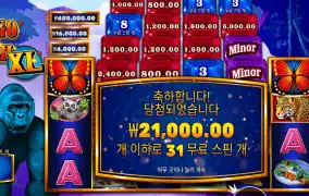 프라그마틱 플레이 콩고 캐시 ＸＬ