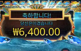 피시 아이 ２콩 배팅