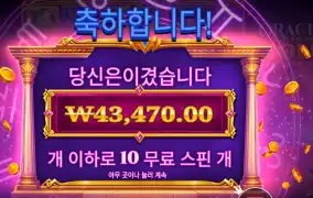 오라클 오브 골드 43천원