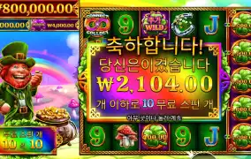 ７클로버즈 오브 포춘