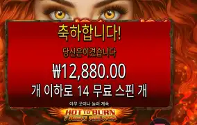 핫 투 번 ７ 데들리 프리 스핀즈 １４스핀