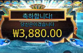 피시 아이 후기