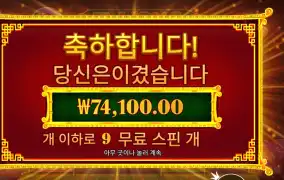 5 라이언즈 리본 371배