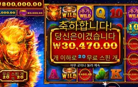 파이어 스탬피드 20스핀