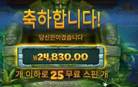 에이션트 아일랜드 24천원