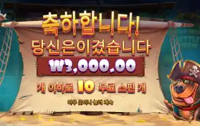 프라그마틱 머틀리 크루 １０스핀