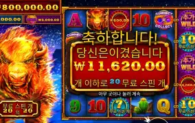 인기슬롯 파이어 스탬피드