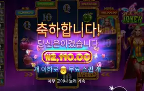 와일드 와일드 조커 ２천원
