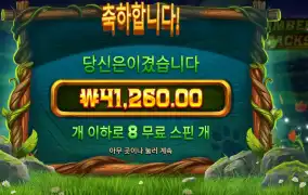 팀버 스택스 41천원