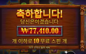 배 버팔로 킹 언테임드 ３８７배