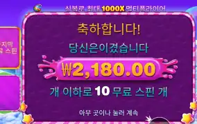 스위트 보난자 １０００