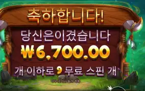 릴리즈 더 바이슨 9스핀