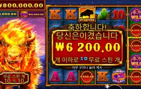 파이어 스탬피드 ２ １０바퀴