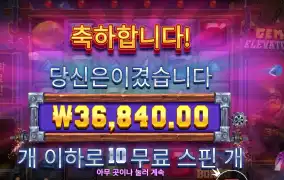 젬 엘리베이터 184배