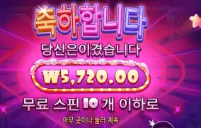 슈가 ２콩 배팅