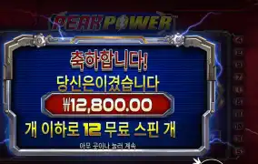 피크 파워 12스핀