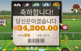 프론트 러너 １７１배