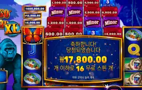 콩고 캐시 ２콩 배팅