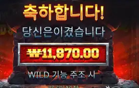 포징 와일드 １１천원