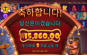 도그 하우스 멀티홀드 9스핀