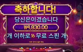 지니스 젬 보난자