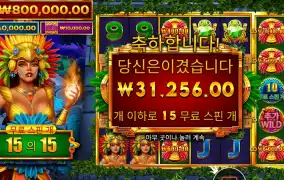 파이어버드 스피릿 ３１천원